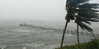 informe-aon-perdidas-desastres-naturales-2024