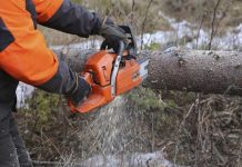 accidente forestal fallo aseguradora