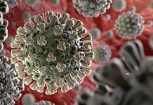 pandemia seguros tecnología linari micheletti coronavirus