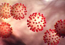 herramienta aseguradoras pandemia irb brasil aon