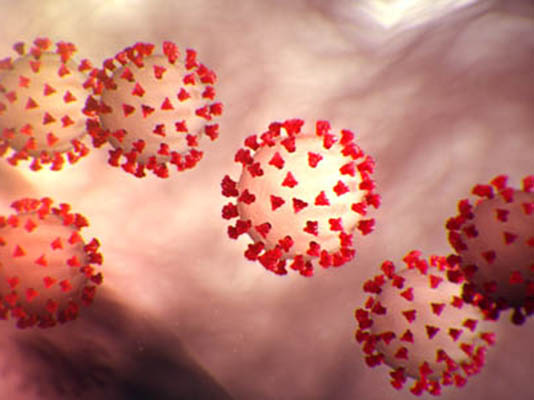 herramienta aseguradoras pandemia irb brasil aon herramienta aseguradoras pandemia irb brasil aon