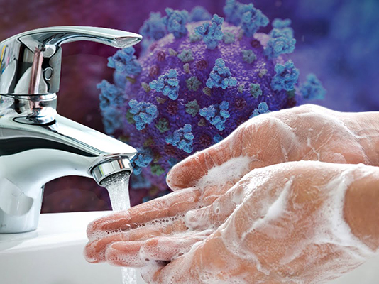 protocolo seguro conjunto aislamiento protocolo seguro conjunto aislamiento coronavirus