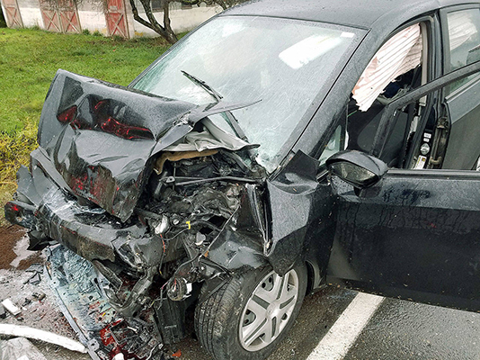 fallo destrucción total fallo viedma destrucción total