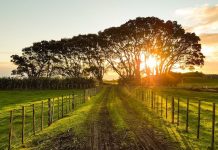 fallo indemnizacion peon campo