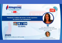 ciclo conferencias virtuales amupssen