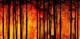 catastrofes seguro swiss re institute