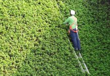 ventas seguros accidentes personales diciembre