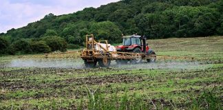 fallo art exposicion plaguicidas