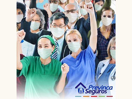 profesionall producto previnca profesionall producto previnca