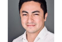 friss solution manager américa latina península ibérica