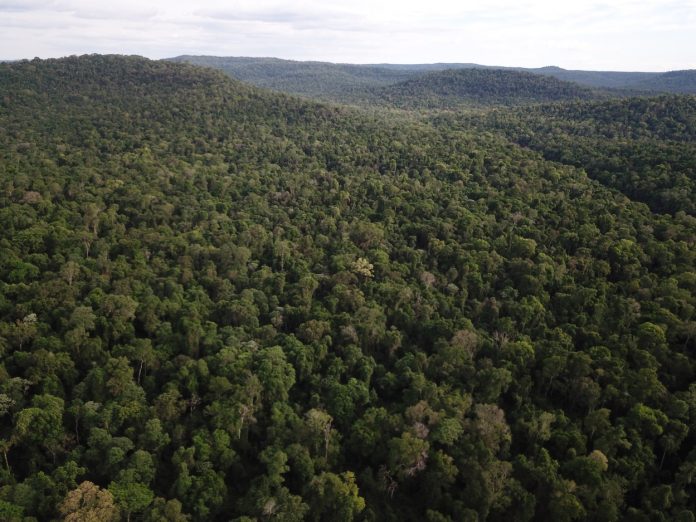 zurich reserva uruguai fundación vida silvestre argentina