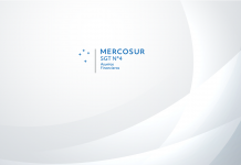 ssn asuntos financieros mercosur reuniones ordinarias