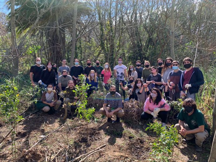 empleados-allianz-arboles-nativos-reserva-ecologica-costanera-sur