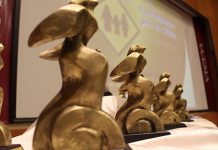 premios luchemos vida 2021