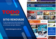 renovación balances diciembre todo seguros