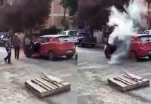 luchemos vida agresividad volante