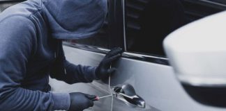 preocupacion-falta-cobertura-robos-hormiga-estaciones-servicio