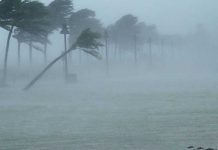 rms huracán ian pérdidas aseguradas