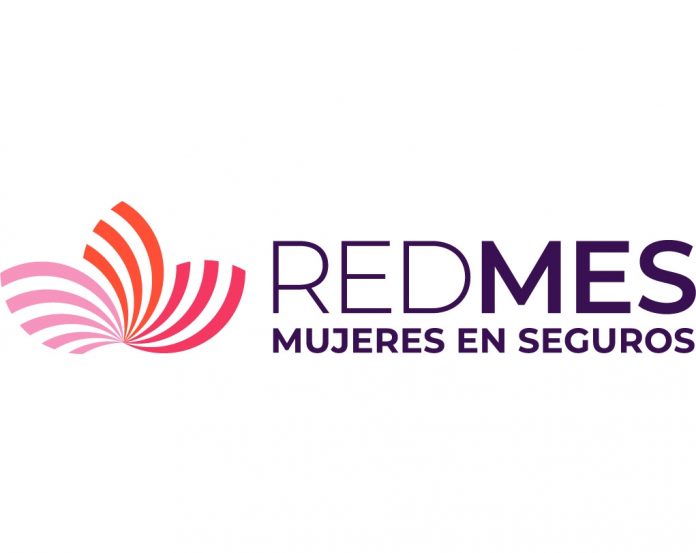 redmes-nueva-experiencia-programa-mentoreo