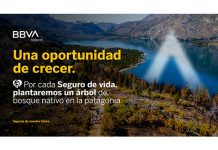 bbva seguros reforestarg misión bosques nativos patagonia