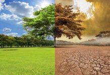 redmes cambio climático sustentabilidad seguros