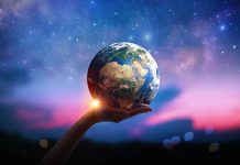 iais posiciones solvencia rentabilidad liquidez 2022