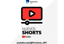 provincia-art-shorts-youtube