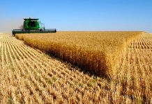 am best seguros paramétricos liquidación siniestros