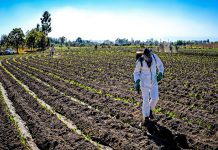 srt-acciones-prevencion-actividad-tabacalera