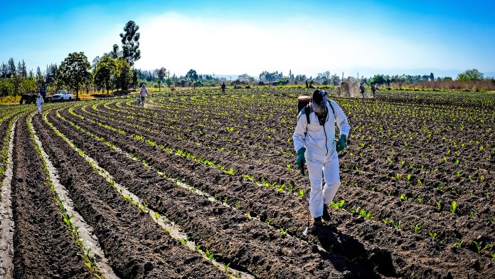 srt-acciones-prevencion-actividad-tabacalera