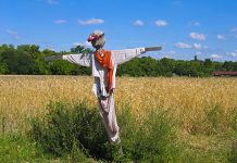 marsh mclennan opciones coberturas riesgos la niña