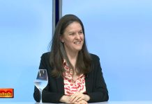 pino-crecimiento-parecia-condiciones