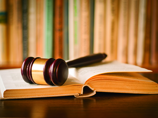 justicia río negro seguro concubina fallecido siniestro vial pareja hija indemnización justicia río negro seguro concubina fallecido siniestro vial pareja hija indemnización