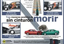 Luchemos por la Vida: el cinturón de seguridad salva vidas luchemos-vida-cinturon-seguridad