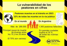 17 de agosto: Día Internacional del Peatón 17-agosto-dia-internacional-peaton