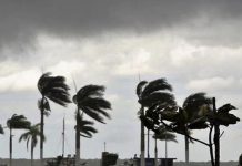 fitch ratings huracán milton impacto sector asegurador