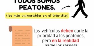 dia-seguridad-peatonal-todos-peatones