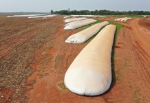 la segunda seguros siembra poscosecha seguros etapa producción