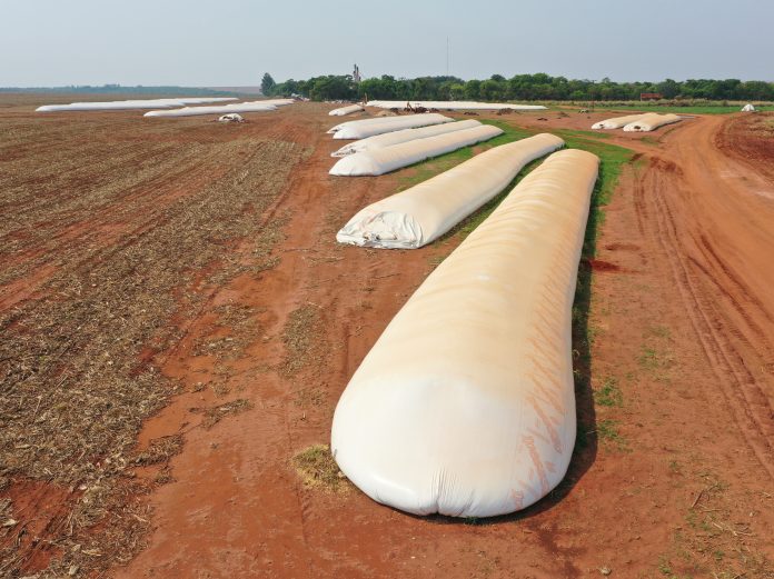 la segunda seguros siembra poscosecha seguros etapa producción