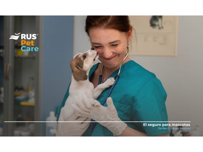 rus día veterinario cuidado responsable mascotas