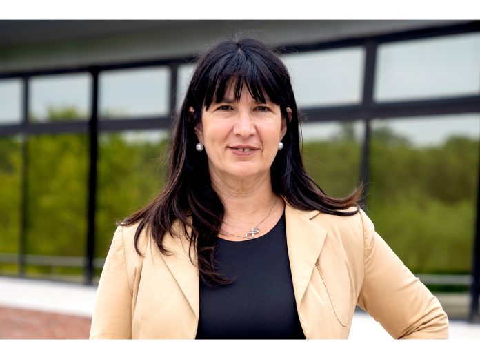 ibarra saurit vida ahorro retiro productores