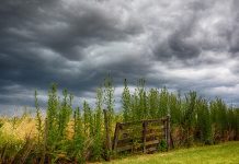 Catástrofes naturales: las pérdidas fueron de 80 mil millones de dólares en el primer semestre swiss re institute catástrofes naturales pérdidas primer semestre 2025