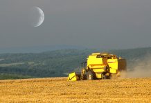 Encuesta en los Seguros Agropecuario y Forestal del ejercicio 2024 encuesta seguros agropecuario forestal 2024