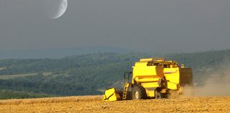 encuesta seguros agropecuario forestal 2024