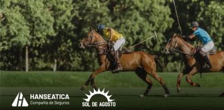 hanseatica polo triple corona