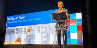 guillermo-plate-zurich-irma