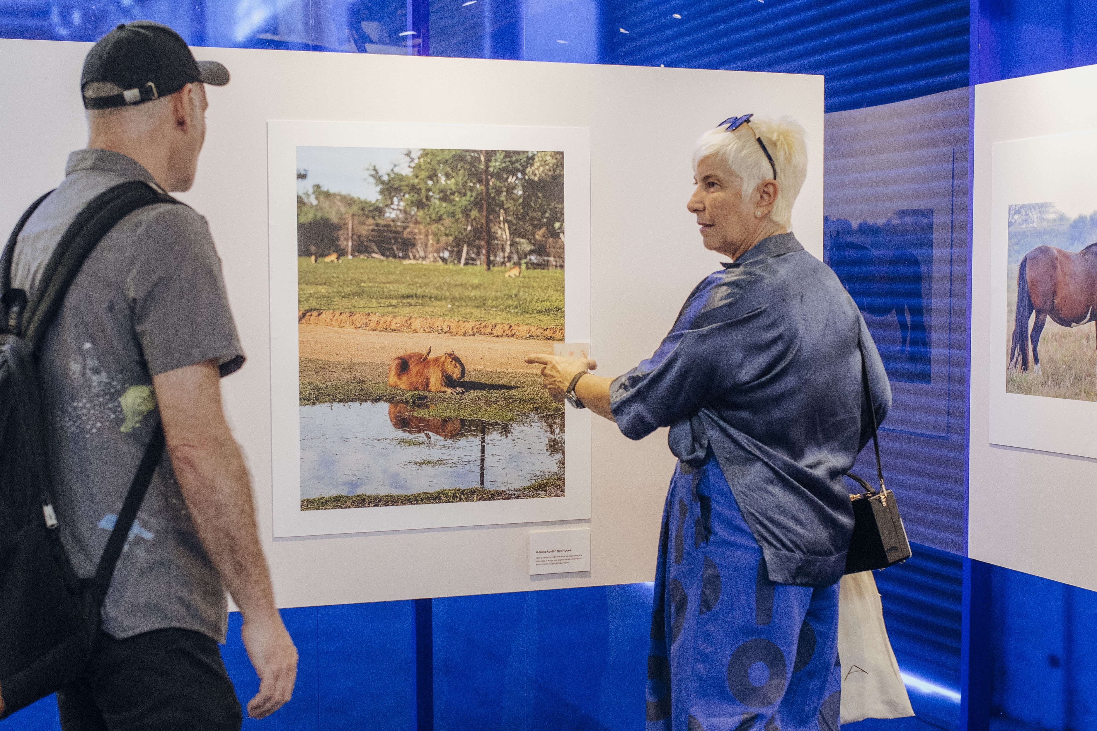 zurich-21-edicion-baphoto