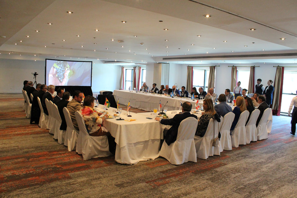 copaprose-carta-argentina-2025