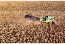 cosecha productores herramienta estratégica