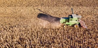 cosecha productores herramienta estratégica